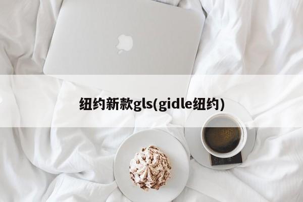 纽约新款gls(gidle纽约)